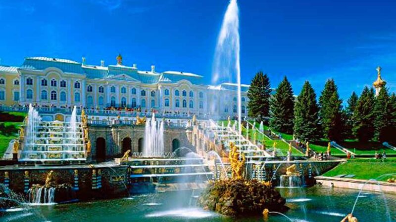 Покупка дипломов. Диплом в Санкт-Петербурге